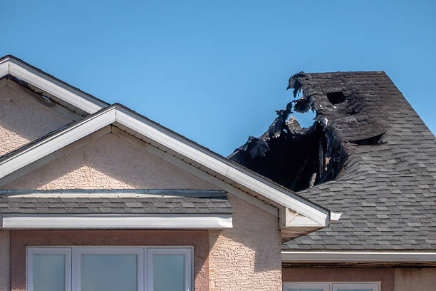 Licensed Odor Removal service in Glencoe, MN - Fire Damage Biloxi